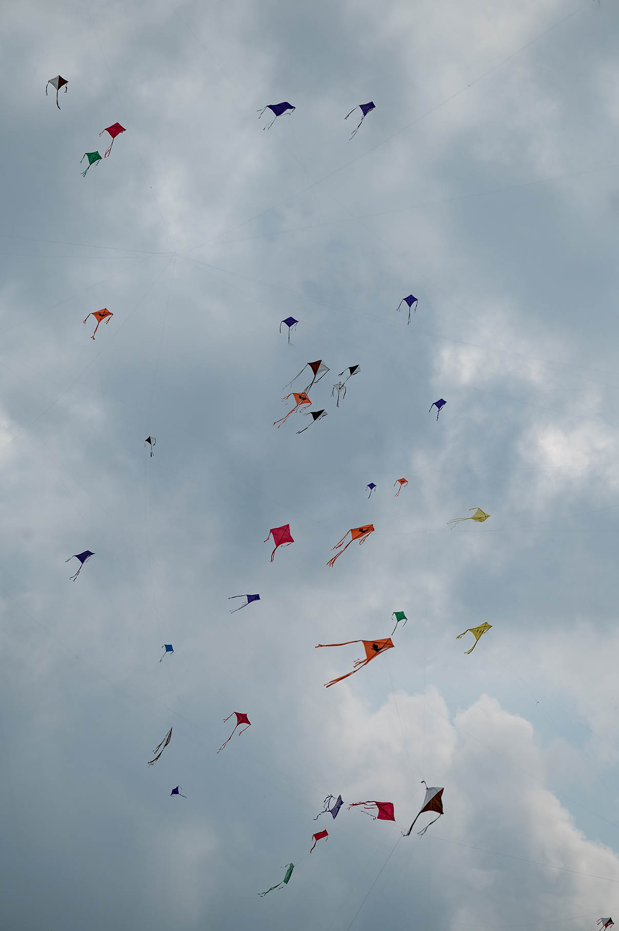 Festa_aquilone_202224.jpg