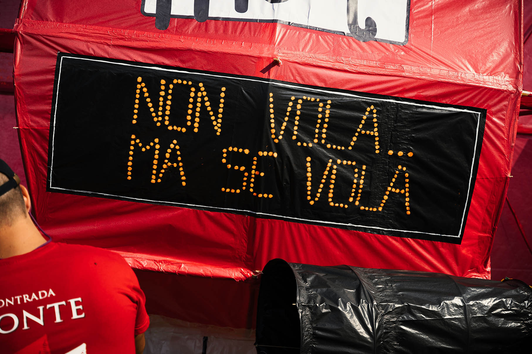 Festa_aquilone_202287.jpg