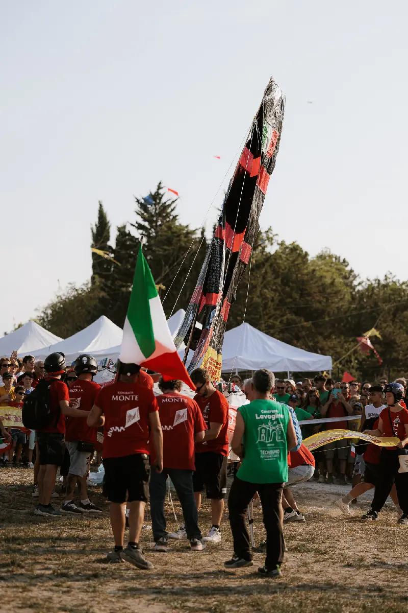 TT_7079.webp