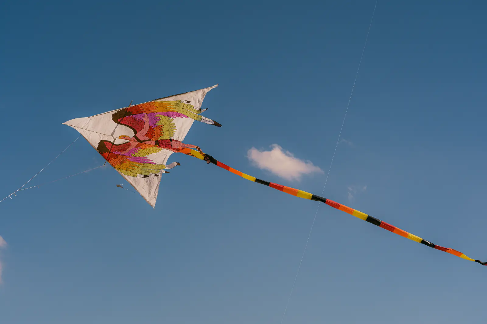 FestaAquilone2026-27.webp