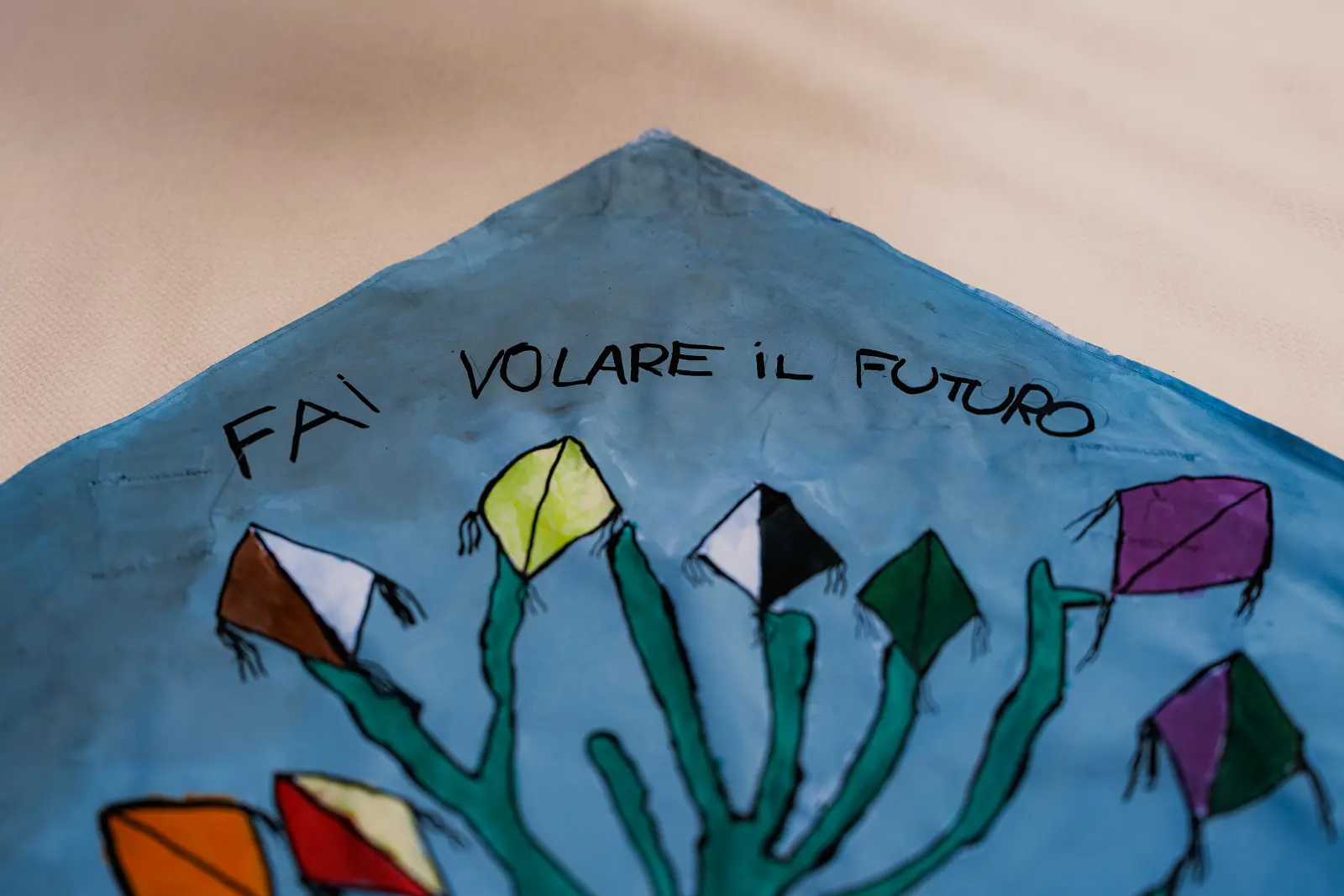 FestaAquilone2026-150.webp